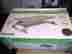Als27873 Allsop Metal Art Printer Stand In Silver Id 035286278737